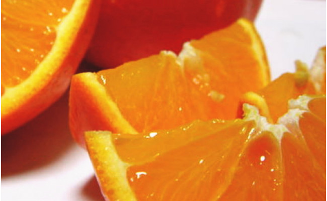 【先行予約】【春の美味】【農家直送】爽快カンキツ　セミノールオレンジ（ご家庭用）約5kg ｜ 柑橘 フルーツ 果物 くだもの 食品 人気 おすすめ 選べる 国産 美浜町