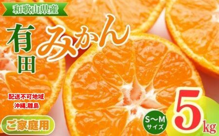 【ご家庭用】和歌山有田みかん約5kg(S、Mサイズ)〇 ｜ みかん 有田みかん 温州みかん ミカン 温州ミカン 柑橘 果物 フルーツ 甘い 先行予約 s m 甘い 5kg