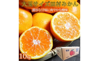 高級ブランド田村みかん　１０kg　大玉サイズ
※2024年11月下旬?2025年1月下旬頃に順次発送予定