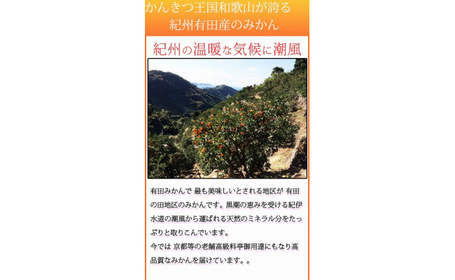 【ご家庭用訳あり】田村みかん　１０kg
※2024年11月下旬〜2025年1月下旬頃に順次発送予定