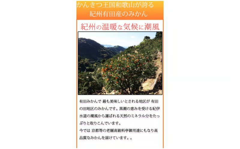 【先行予約】赤秀品　紀州有田産濃厚完熟温州みかん　３kg（ＭサイズまたはＳサイズ）