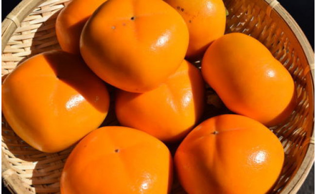 【厳選・産直】和歌山産のたねなし柿2L～4Lサイズ約2kg（化粧箱入り）