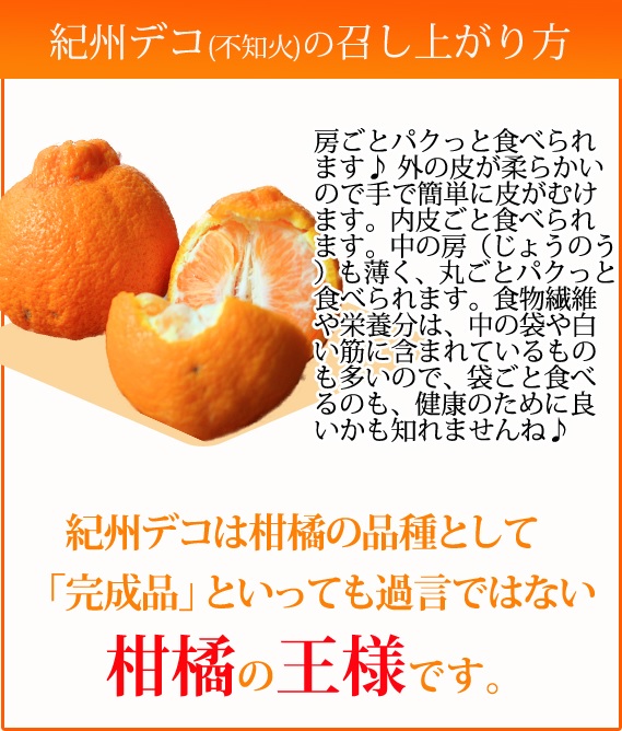 高級ブランド田村の完熟紀州デコ(不知火) ※2025年2月中旬?3月中旬頃に順次発送予定