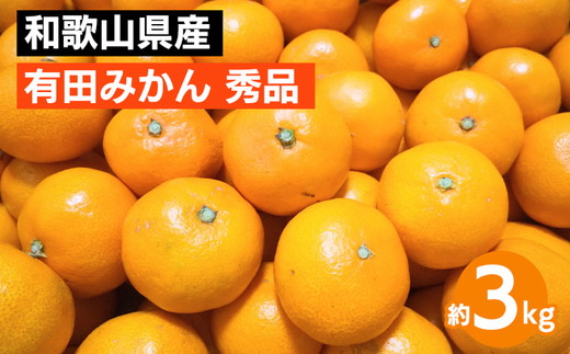 【先行予約】 有田みかん 秀品 約3kg サイズ混合　和歌山県産