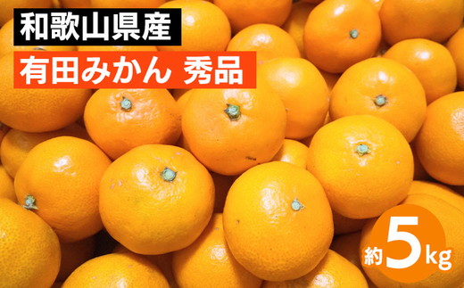 【先行予約】 有田みかん 秀品 約5kg サイズ混合 和歌山県産