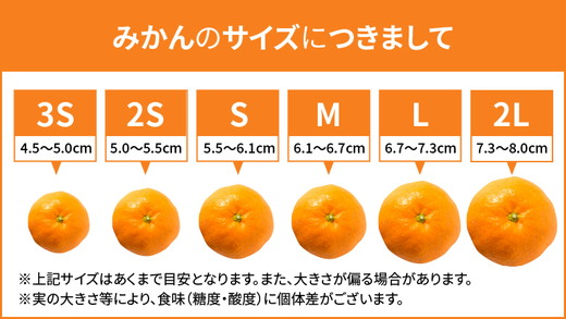 和歌山県産 有田みかん 約5kg 家庭用 ※2025年10月中旬～2026年1月下旬頃に順次発送予定 ※北海道・沖縄・離島への配送不可