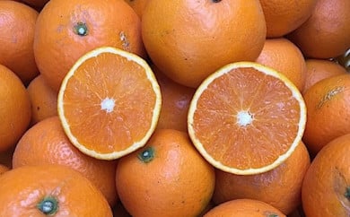 和歌山県産 有田の清見 約5kg 家庭用 ※2026年3月上旬～4月下旬頃に順次発送予定 ※北海道・沖縄・離島への配送不可