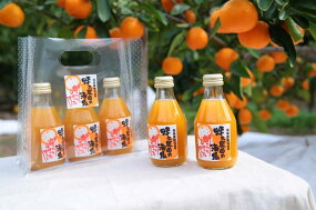 田村みかん蜂久農園の清見がっつりしぼったでぇ　清見ジュース(180ml×12本)