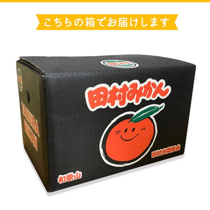 【和歌山特産品】【プレミアムブランド】絶品!田村みかん〔2Lサイズ・秀品〕約２.５kg　※北海道・沖縄地域へのお届け不可　※2021年11月下旬～12月下旬頃に順次発送予定