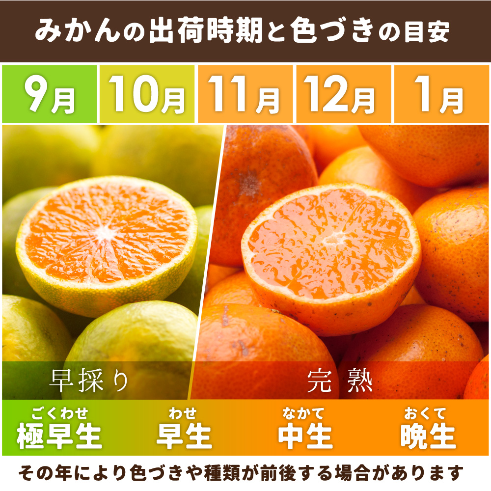 【先行予約】家庭用 有田みかん8kg＋240g(傷み補償分)◆【5kgと10kgの中間サイズ】
※北海道・沖縄・離島への配送不可
※2024年1月上旬～1月下旬頃に順次発送予定