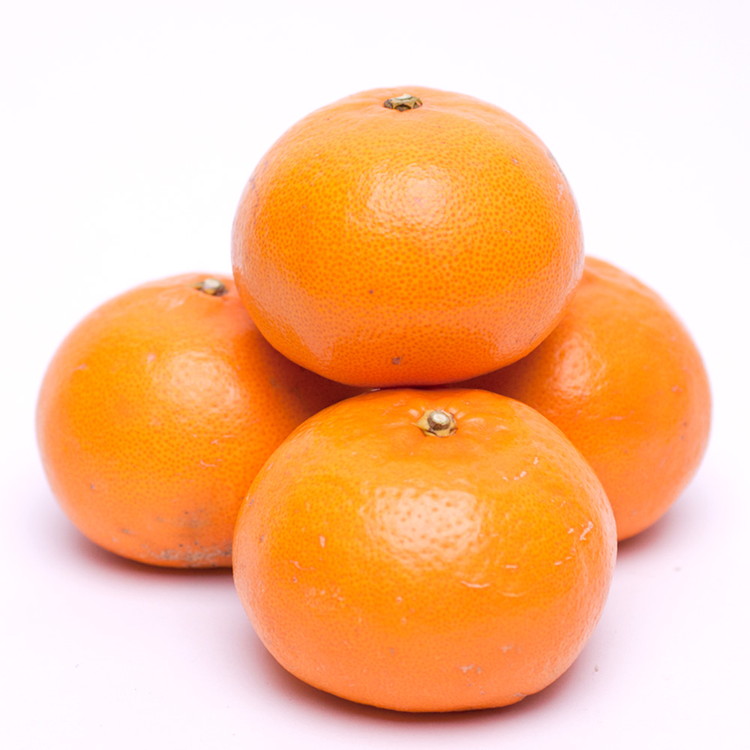 ＜2月より発送＞厳選 せとか2.5kg+250g（傷み補償分）◇｜柑橘・春みかんの王様【光センサー選果・食べ頃出荷】※北海道・沖縄・離島への配送 ※2026年2月中旬～3月下旬頃に順次発送予定