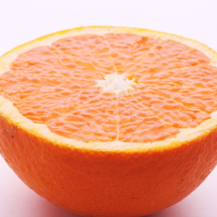 ïŒ2æããçºéïŒå³éž æž
èŠãªã¬ã³ãž1kg+250gïŒå·ã¿è£ååïŒâãå
ã»ã³ãµãŒé£é åºè·ããæš¹äžå®çããã¿ãªã¬ã³ãžã»æž
èŠã¿ã³ãŽãŒã«ã»æž
çŸã â»2026幎2æäžæ¬ïœ3æäžæ¬é ã«é 次çºéäºå® â»åæµ·éã»æ²çžã»é¢å³¶ãžã®é
éäžå¯