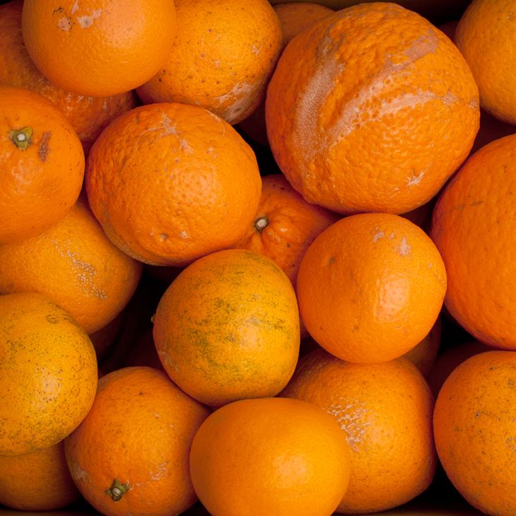 ïŒ2æããçºéïŒå®¶åºçš æž
èŠãªã¬ã³ãž2.5kg+75gïŒå·ã¿è£ååïŒâãå
ã»ã³ãµãŒé£é åºè·ããæš¹äžå®çããã¿ãªã¬ã³ãžã»æž
èŠã¿ã³ãŽãŒã«ã»æž
çŸããããããã»èš³ãããâ»2025幎2æäžæ¬ïœ5æäžæ¬é ã«é 次çºéäºå® â»åæµ·éã»æ²çžã»é¢å³¶ãžã®é
éäžå¯