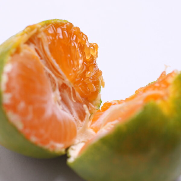 〈10月より発送〉ゆら早生 プレミアム有田みかん 2.5kg+250g（傷み補償分） ｜ 柑橘 果物 フルーツ 糖度 甘い 濃厚 コク ジューシー 光センサー ※北海道・沖縄・離島への配送不可 ※2025年10月上旬～11月中旬頃に順次発送予定