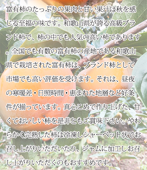 和歌山秋の味覚　富有柿　約7.5kg　※2024年11月上旬～11月下旬頃に順次発送予定