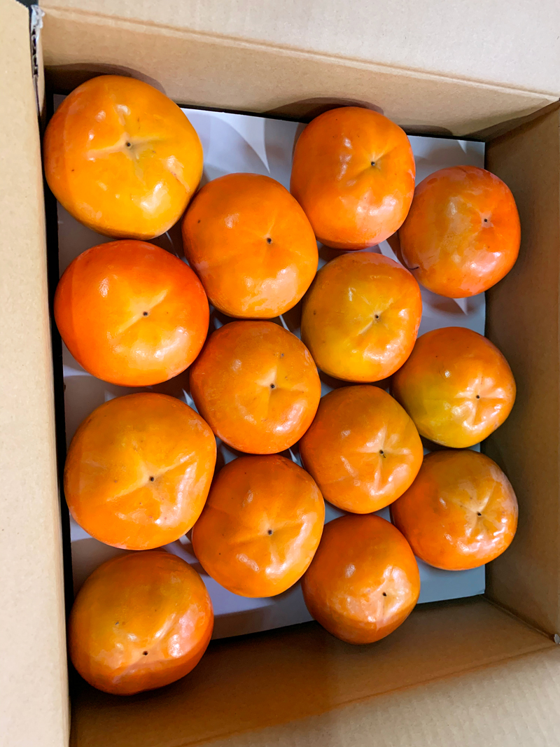 和歌山秋の味覚　富有柿　約7.5kg　※2024年11月上旬～11月下旬頃に順次発送予定