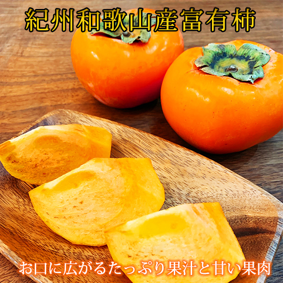 【ご家庭用わけあり】和歌山秋の味覚　富有柿　約3.5kg ※2024年11月上旬～11月下旬頃に順次発送予定