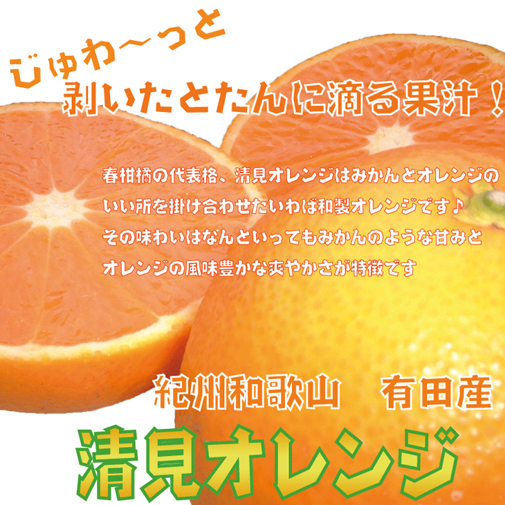 果汁たっぷり！清見オレンジ 約10kg 有機質肥料100%〈先行予約受付〉＼光センサー選別／ ※2025年3月上旬～3月下旬頃に順次発送予定 ※沖縄・離島への配送不可