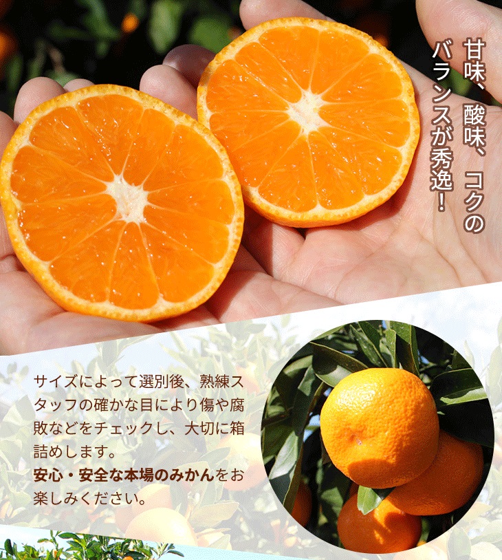 ＼光センサー選別／こだわりの完熟有田みかん 8kg＋150g(傷み補償分) 【ご家庭用】サイズ混合 有機質肥料100%｜ ふるさと納税 ミカン 〇