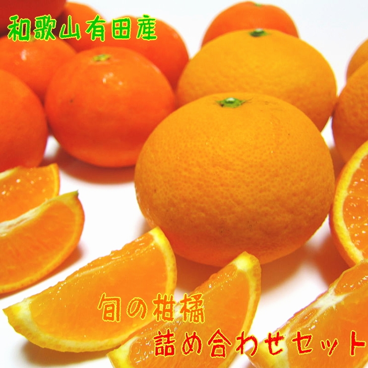 【先行予約】旬の濃厚柑橘詰め合わせセット（ご家庭用）約4.5kg
※2025年1月中旬～4月下旬頃に順次発送予定
※北海道・沖縄・離島への配送不可