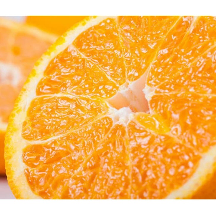 【先行予約】【農家直送】不知火（しらぬい） ご家庭用 約5kg