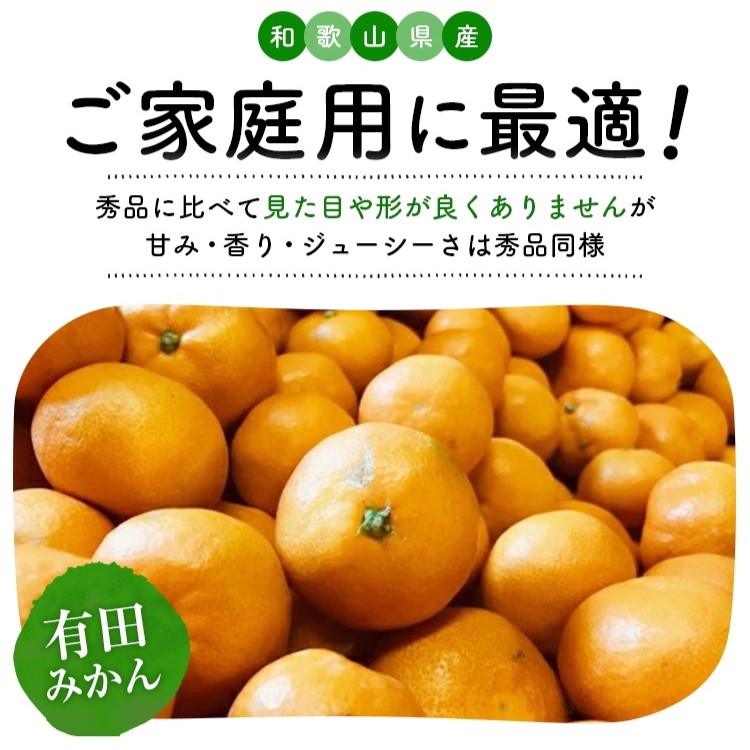 【先行予約】【数量限定】濃厚有田みかん（ご家庭用）約10.3kg 【2024年11月上旬～11月下旬頃発送】または【2024年12月上旬～12月下旬頃発送】
※北海道・沖縄・離島への配送不可