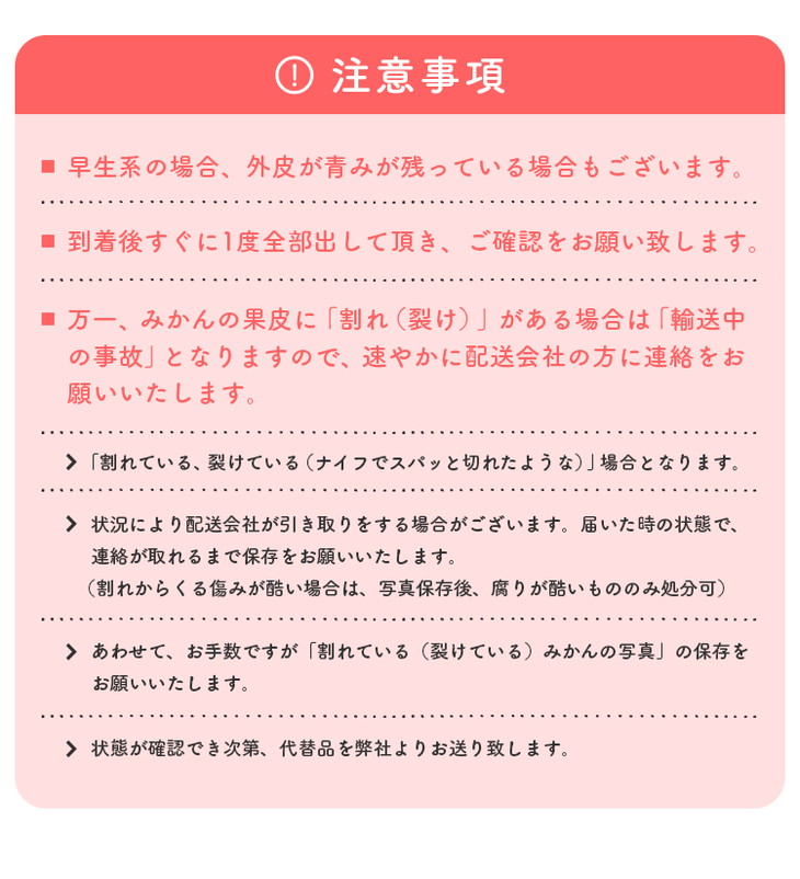 【先行予約】【数量限定】濃厚有田みかん（ご家庭用）約10.3kg 【2024年11月上旬～11月下旬頃発送】または【2024年12月上旬～12月下旬頃発送】
※北海道・沖縄・離島への配送不可