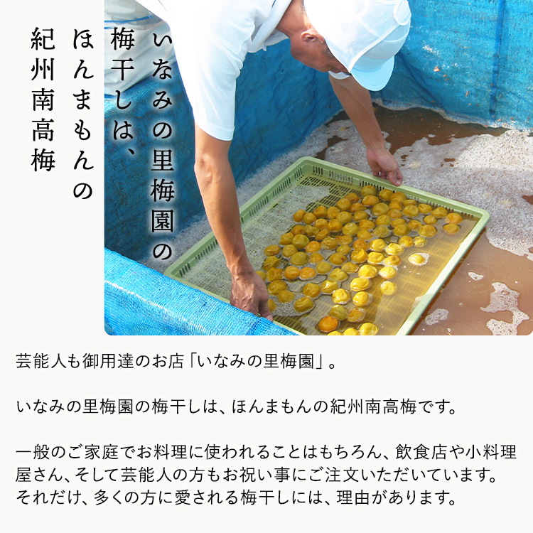 紀州南高梅　こんぶ風味梅干　500g　ご家庭用 | 国産 ※北海道・沖縄・離島への配送不可