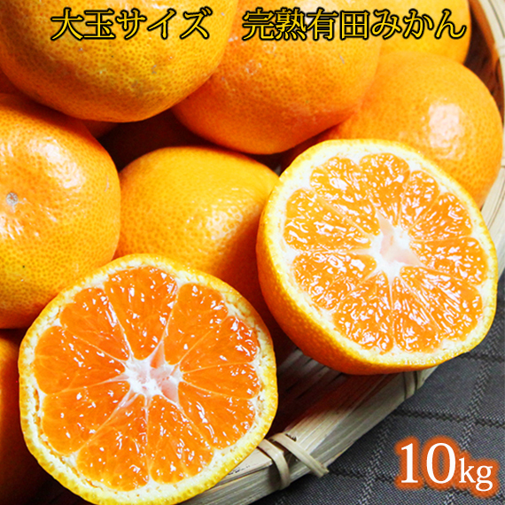 大玉サイズ　完熟有田みかん　１０kg
※2024年11月下旬?2025年1月下旬頃に順次発送予定