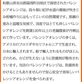 秀品 希少な国産バレンシアオレンジ 5kg ※2025年6月下旬～7月上旬頃に順次発送予定