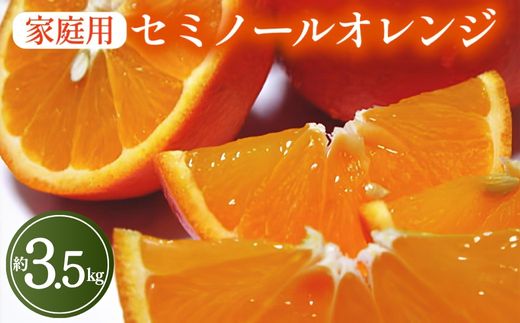 【先行予約】【春の美味】【農家直送】爽快カンキツ　セミノールオレンジ（ご家庭用）約3.5kg ｜ 柑橘 フルーツ 果物 くだもの 食品 人気 おすすめ 選べる 国産 美浜町