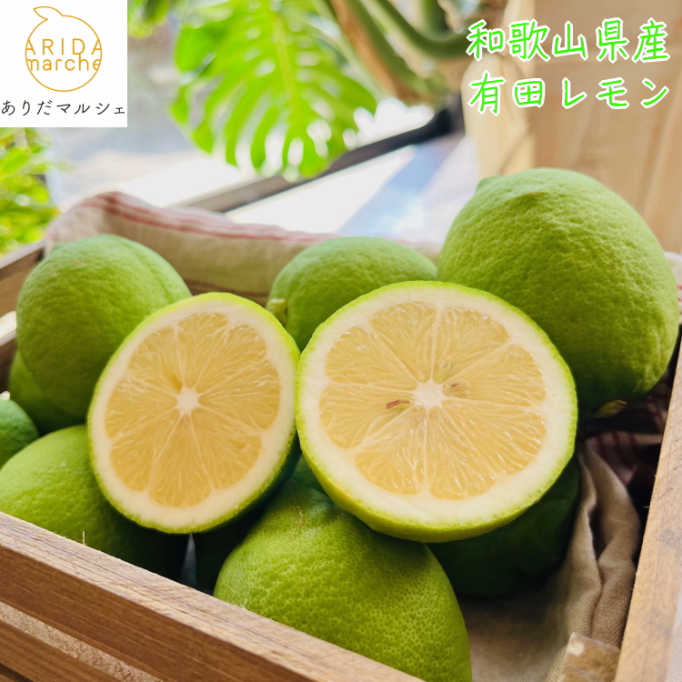 【先行予約】【国産】農家直送！ 有田レモン 1kg◇ ※北海道・沖縄・離島への配送不可 ※2025年9月下旬～2026年3月下旬頃に順次発送予定