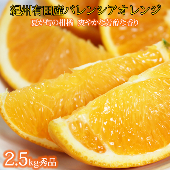 秀品　希少な国産バレンシアオレンジ　2.5kg | 果物 くだもの 柑橘 オレンジ フルーツ 和歌山 産地直送
※2024年6月下旬～7月上旬頃に順次発送予定
※着日指定不可