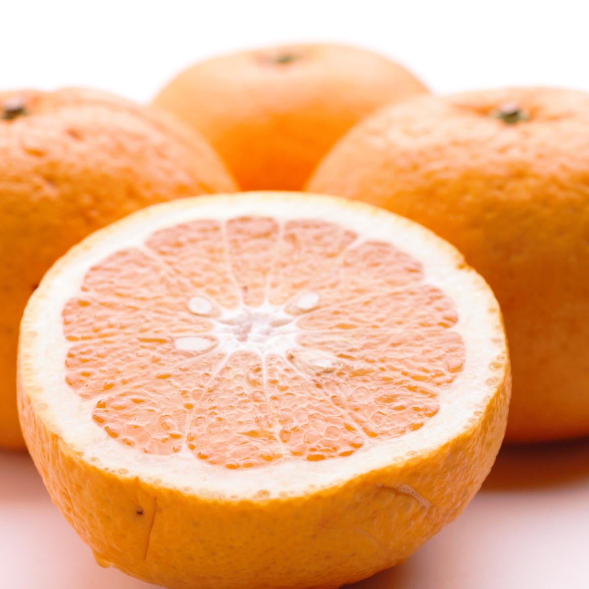 ＜4月より発送＞家庭用 甘夏柑10kg+250g（傷み補償分）◇【初夏のみかん・旬の果物】【有田産】【光センサー食べ頃出荷】【わけあり・訳あり】