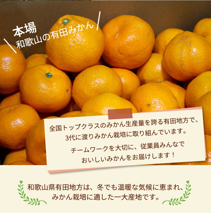 ＼光センサー選別／こだわりの完熟有田みかん 10kg＋300g(傷み補償分) 【ご家庭用】サイズ混合  ◇ふるさと納税 みかん 有機質肥料100%
※2024年11月中旬～2025年1月上旬頃に順次発送予定
※北海道・沖縄・離島への配送不可