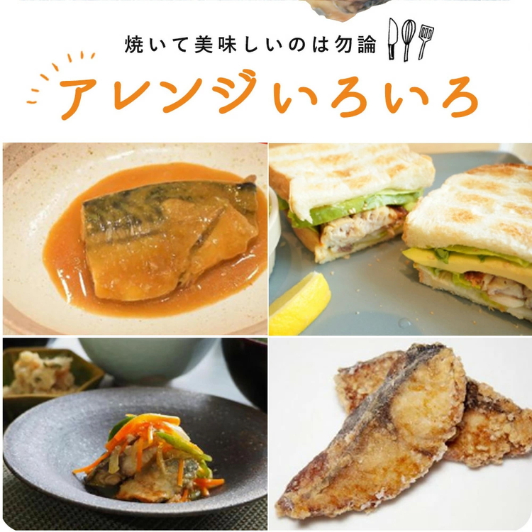 【ご家庭用　訳あり】無添加　塩さばフィレ　1kg
※着日指定不可