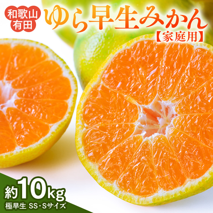 【ご家庭用 極早生】和歌山有田ゆら早生みかん約10kg(SS、Sサイズ)【美浜町】 ※北海道・沖縄・離島への配送不可 ※2025年10月下旬～11月下旬頃に順次発送予定