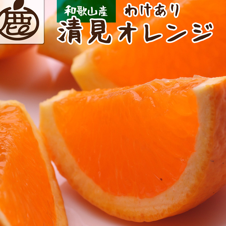 ＜2月より発送＞家庭用 清見オレンジ6kg+180g（傷み補償分）◇【光センサー食頃出荷】【樹上完熟きよみオレンジ・清見タンゴール・清美】【わけあり・訳あり】※北海道・沖縄・離島への配送不可 ※2025年2月上旬～5月上旬頃に順次発送予定