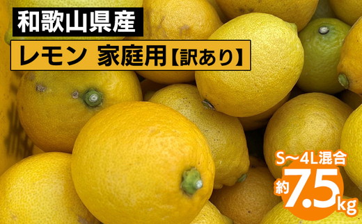 和歌山産 レモン 家庭用 7.5kg S～4L混合 【訳あり】 ※2026年1月中旬～3月下旬頃に順次発送予定 ※北海道・沖縄・離島への配送不可