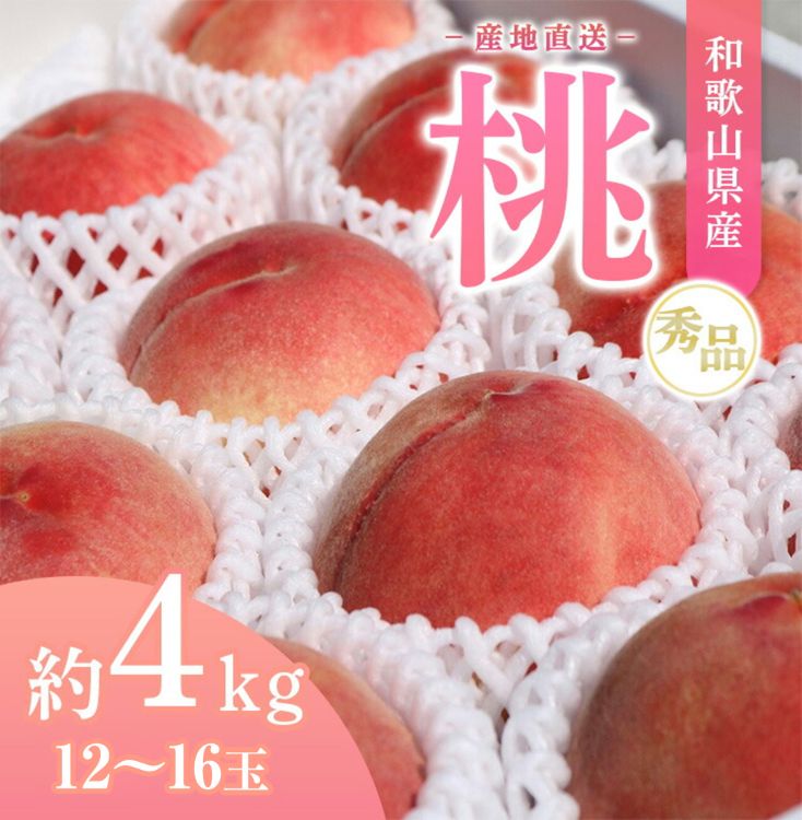 【産地直送】和歌山県産 桃 約4kg（12～16玉）秀品 もも