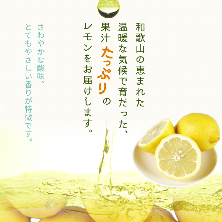 【ご家庭用訳あり】紀州有田産レモン　2.5kg
※着日指定不可
※2025年3月上旬～3月下旬頃に順次発送予定