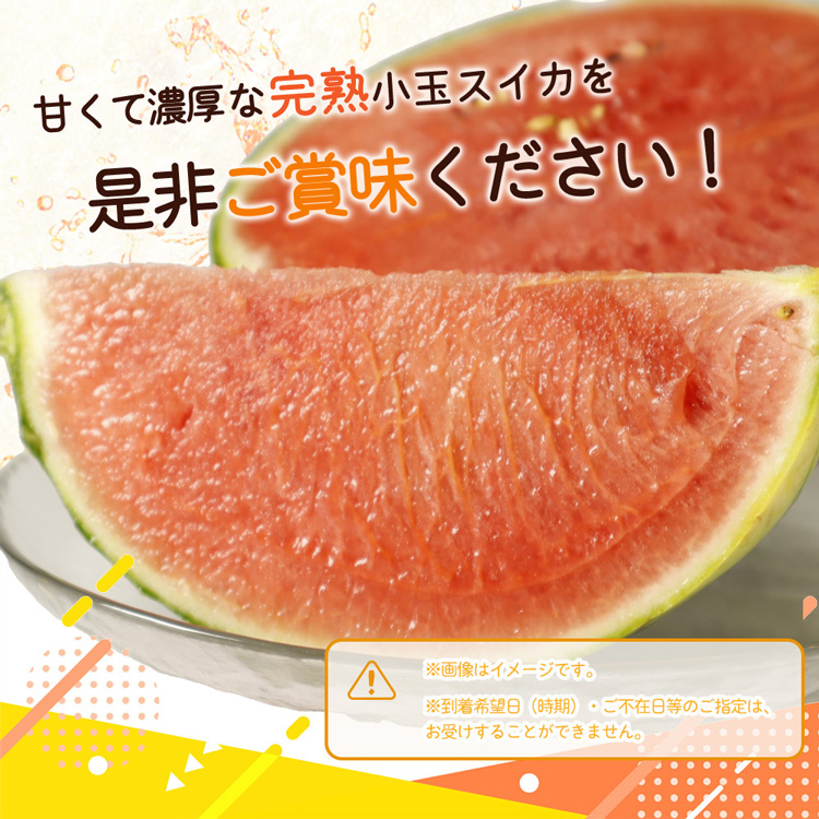 紀州和歌山産小玉スイカ「ひとりじめ」2玉 ※2025年6月上旬～6月下旬頃に順次発送予定