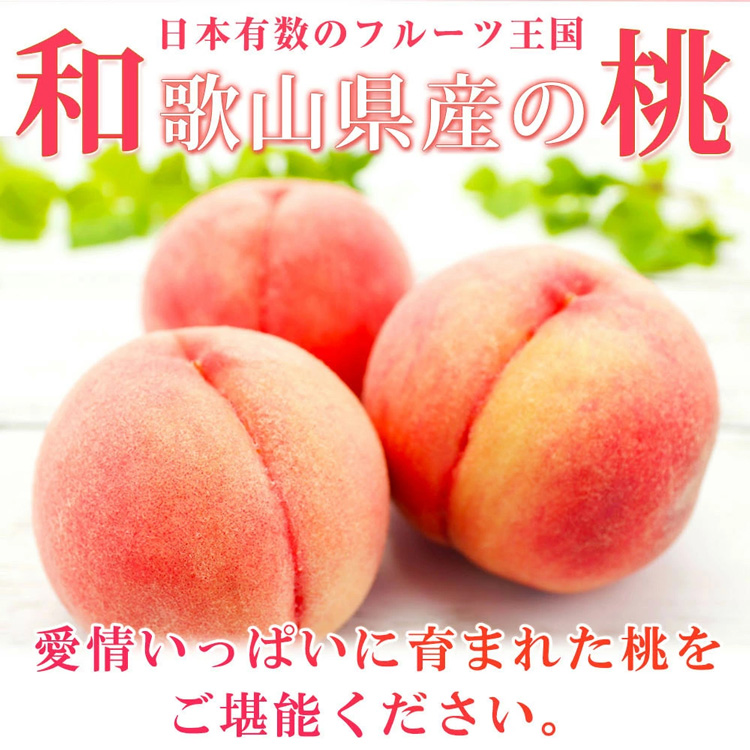 紀州和歌山産の桃 15玉 化粧箱入◇ ※2025年6月下旬～8月上旬頃に順次発送予定