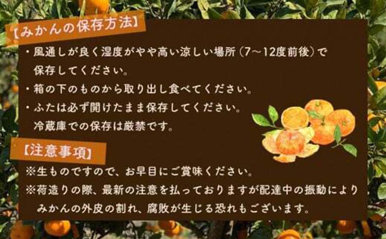 はじめまして 有田みかん（和歌山県産） お試し3kg【数量限定】/ORYY推奨 ※2024年11月上旬～12月下旬頃に順次発送予定