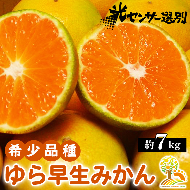 ゆら早生 みかん 濃厚な味わい 約7kg 希少品種《有機質肥料100％》極早生 ｜ 由良 ゆら 早生 わせ 柑橘 果物 くだもの フルーツ 和歌山 有田 ※2024年10月上旬～10月下旬頃に順次発送予定 ※北海道・沖縄・離島への配送不可