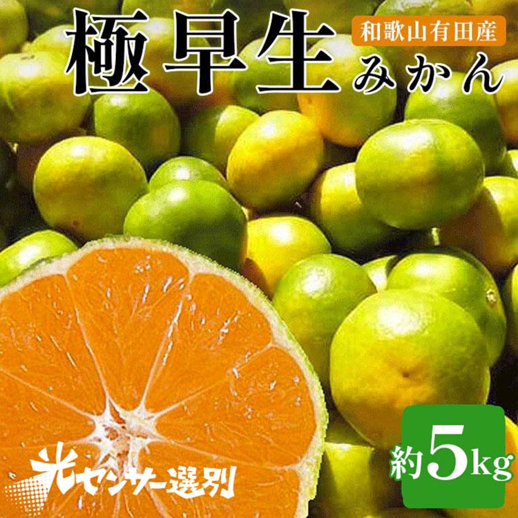 【先行予約】こだわりの極早生みかん 約5kg 農家直送 有機質肥料100% サイズ混合 ｜ みかん 極早生 早生 柑橘 果物 くだもの 果実 フルーツ 和歌山 有田