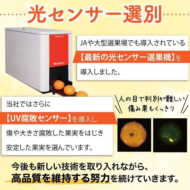 ＼光センサー選別／ 農家直送　有田みかん　約7.5kg 大玉3L以上　有機質肥料100% ※沖縄・離島への配送不可 ※2024年11月中旬～2025年1月上旬頃に順次発送予定