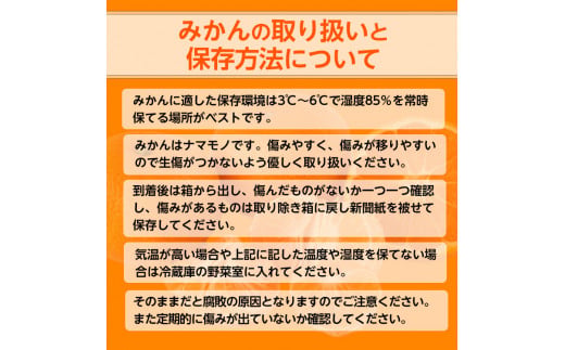 【先行予約】【ご家庭用】和歌山有田みかん約10kg(M、Lサイズ)【美浜町】