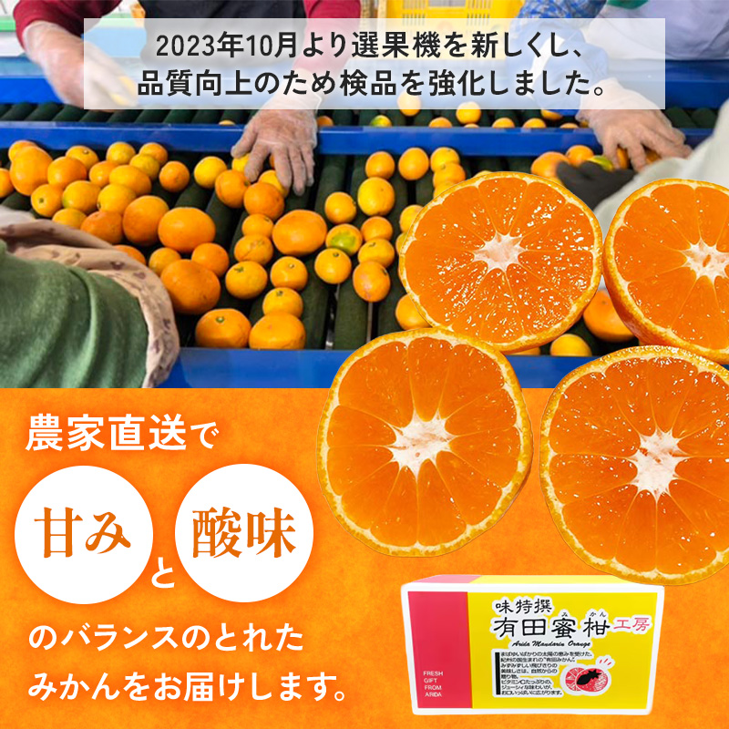 【ご家庭用】和歌山有田みかん約10kg(S、Mサイズ)【美浜町】