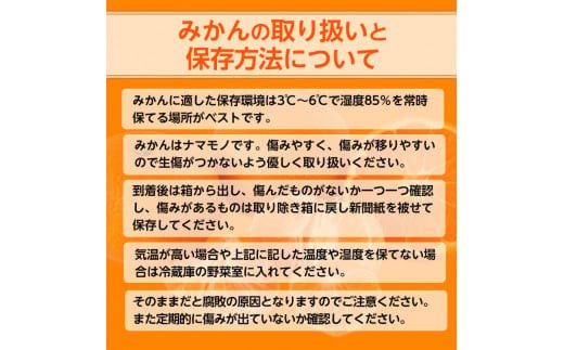 【先行予約】【ご家庭用】和歌山有田みかん約10kg(S、Mサイズ)【美浜町】